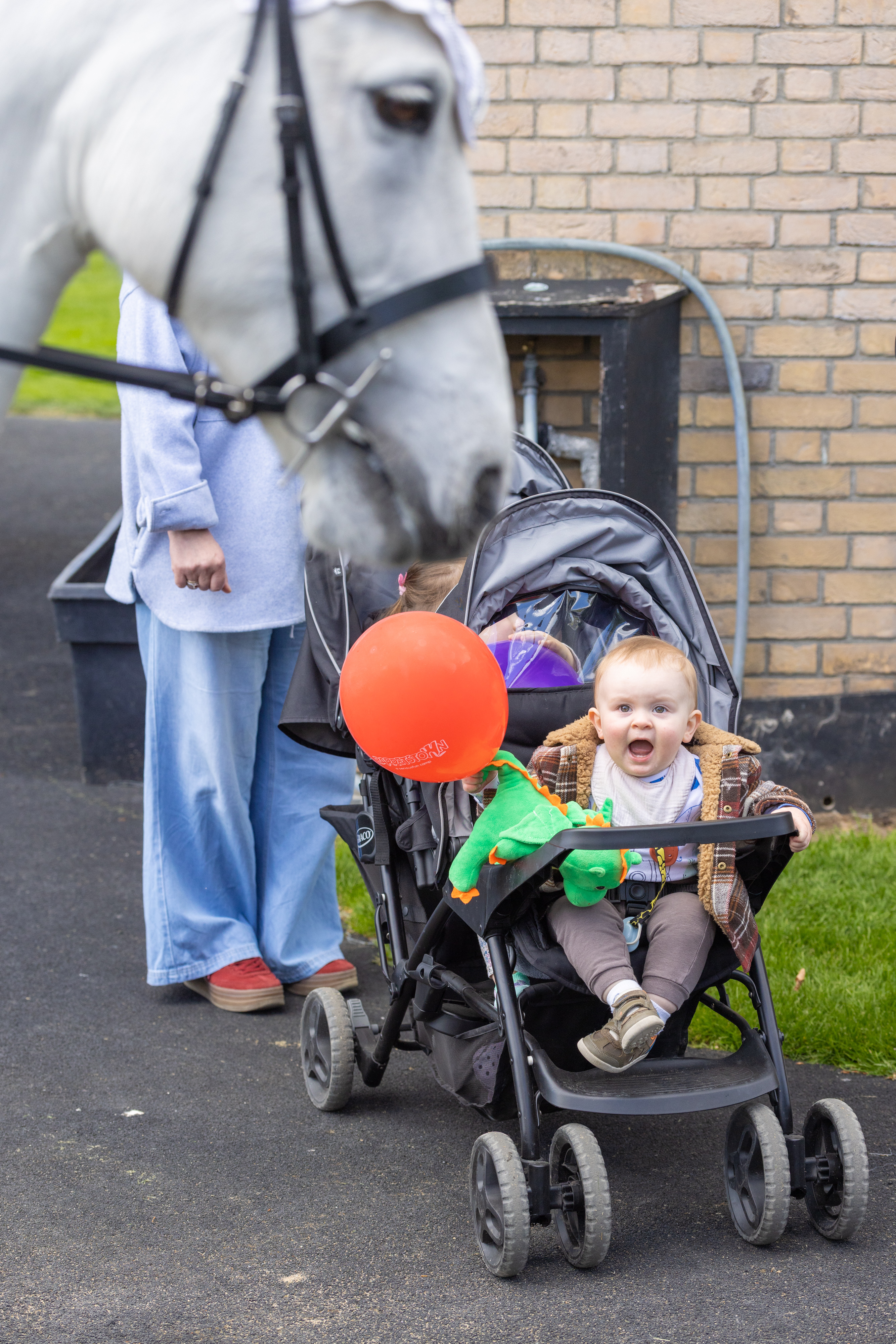 Child smiling at a horse. 